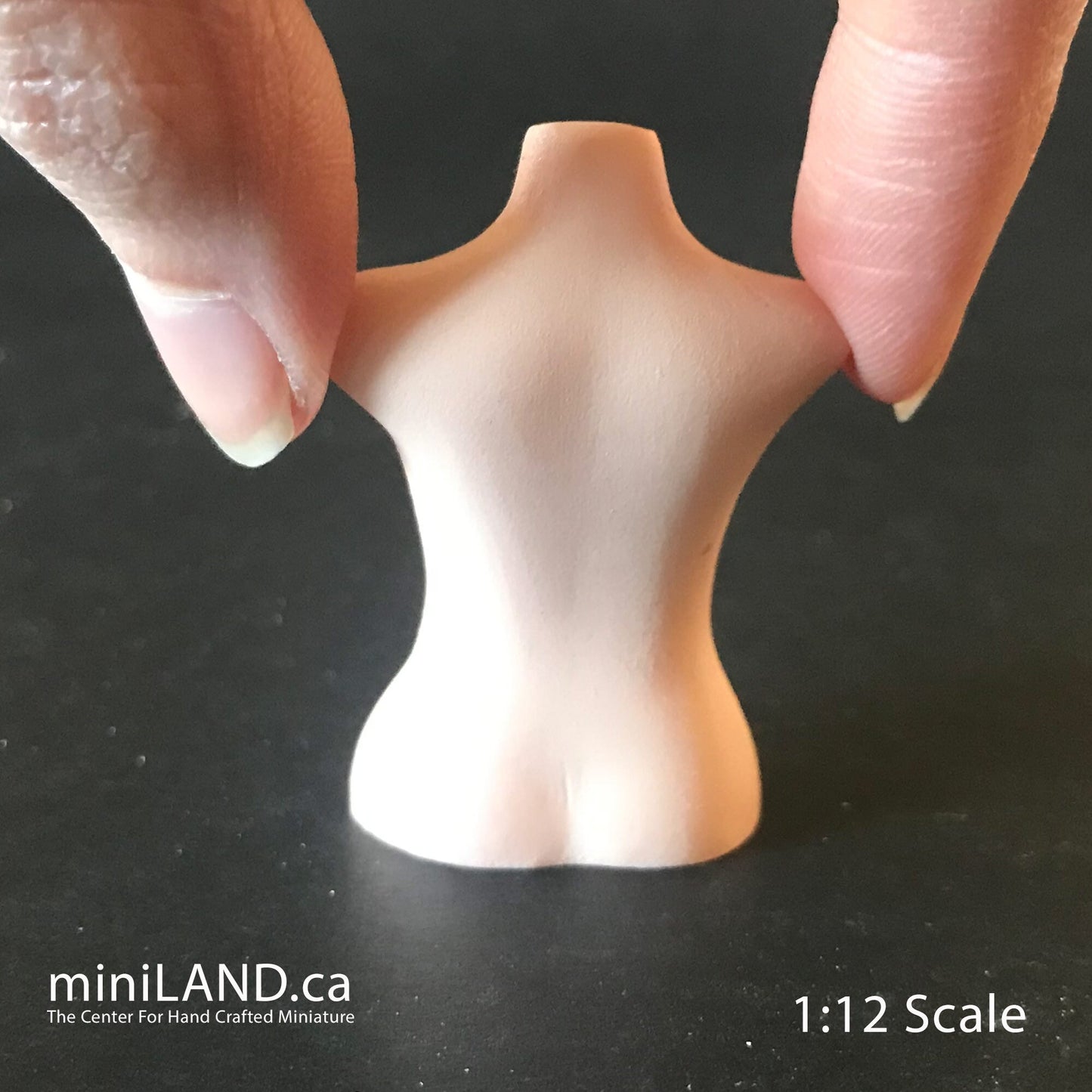 Miniature BUST TORSO MANNEQUIN 1.75” 1:12 scale for miniature dollhouse porcelain Bust2