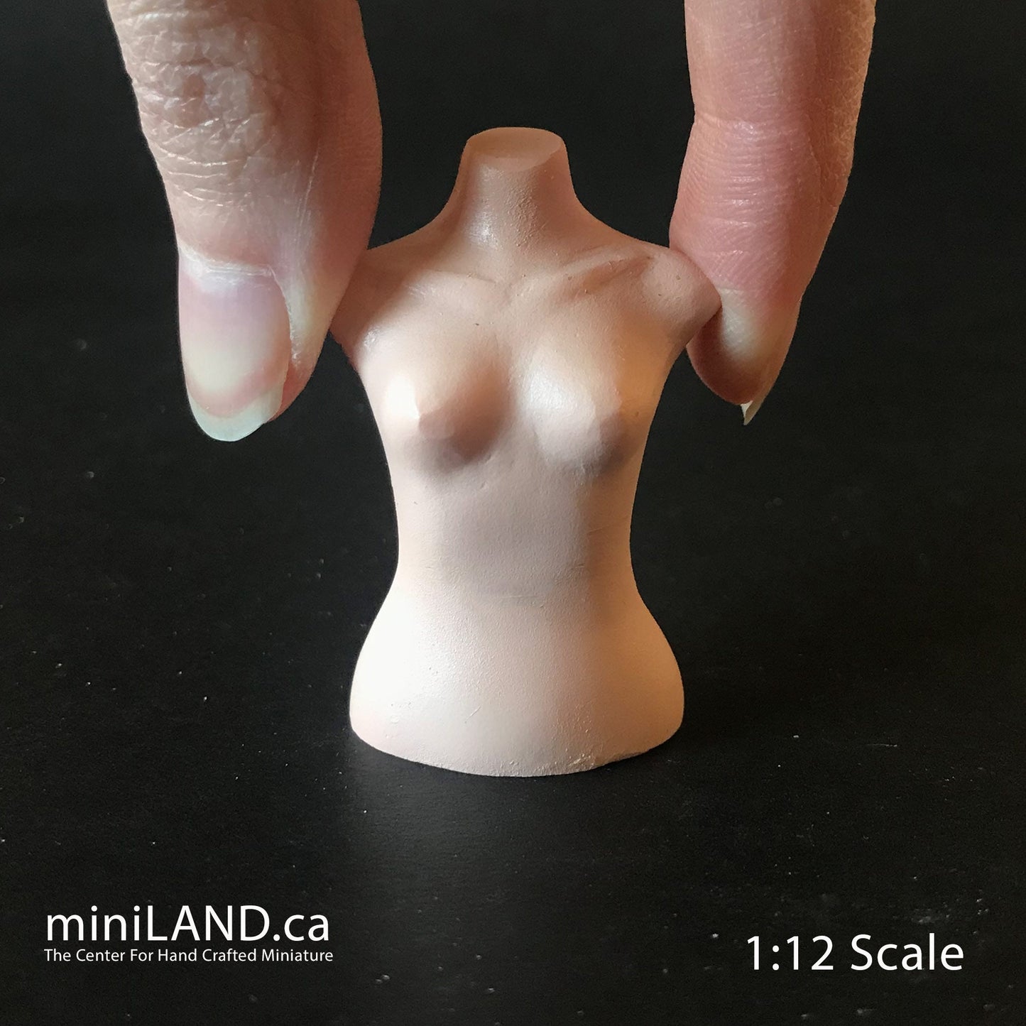Miniature BUST TORSO MANNEQUIN 1.75” 1:12 scale for miniature dollhouse porcelain Bust2