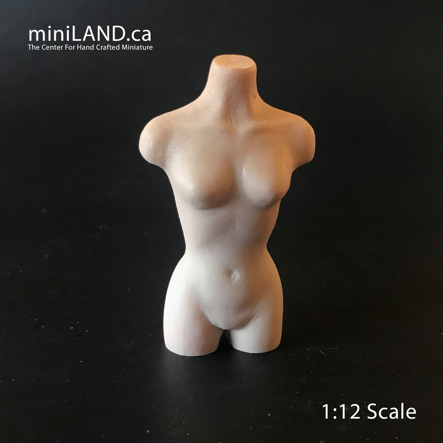 Miniature BUST TORSO MANNEQUIN 2.5” 1:12 scale for miniature dollhouse porcelain Bust1