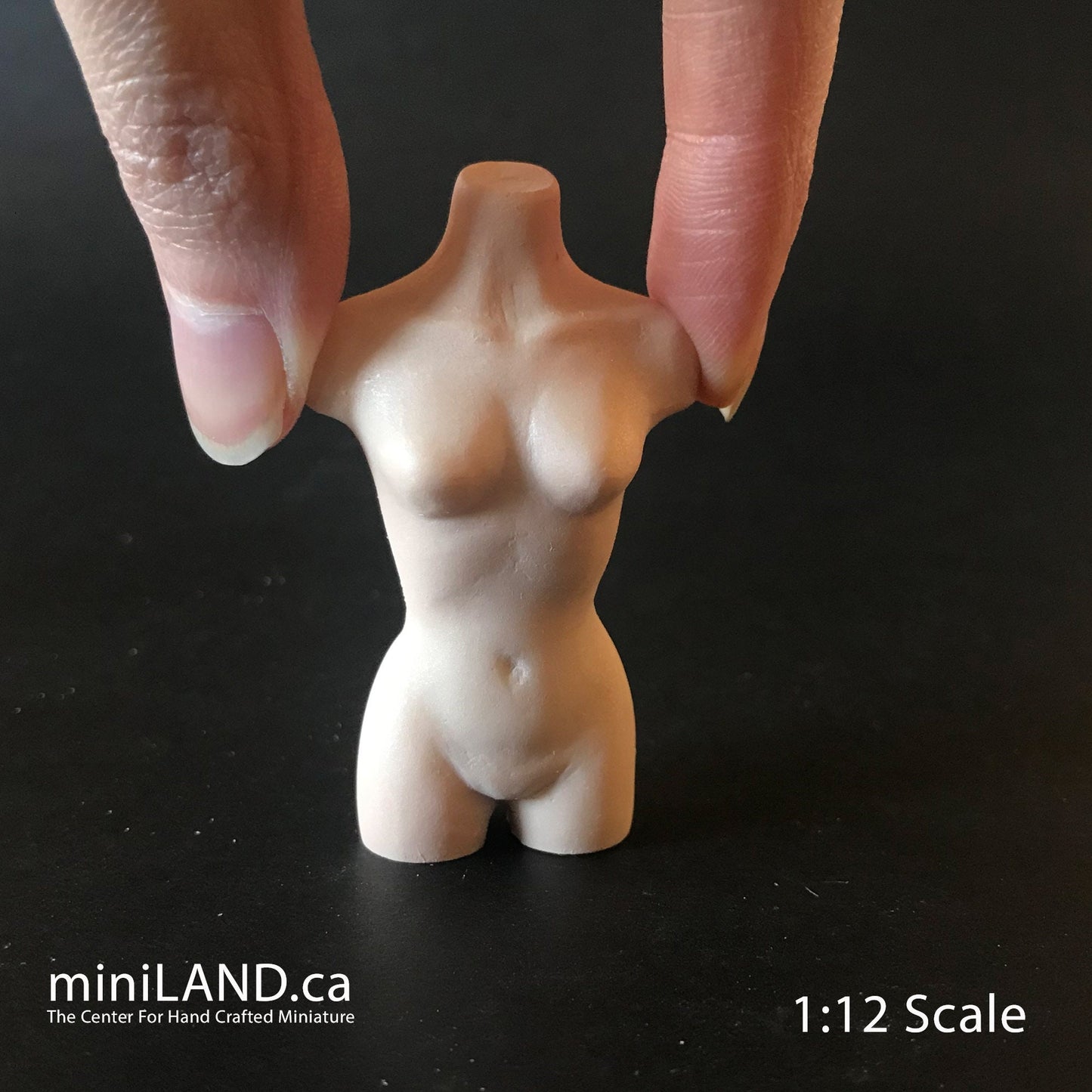 Miniature BUST TORSO MANNEQUIN 2.5” 1:12 scale for miniature dollhouse porcelain Bust1