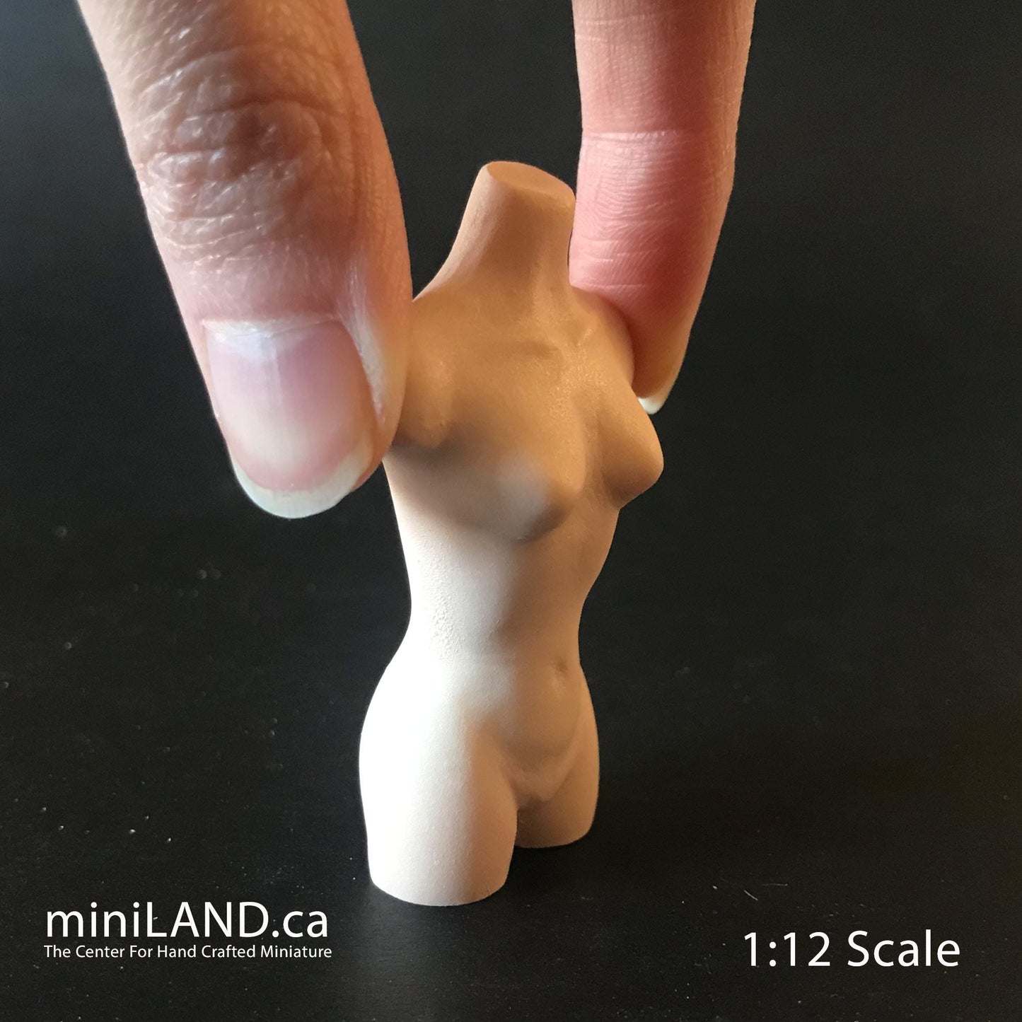 Miniature BUST TORSO MANNEQUIN 2.5” 1:12 scale for miniature dollhouse porcelain Bust1