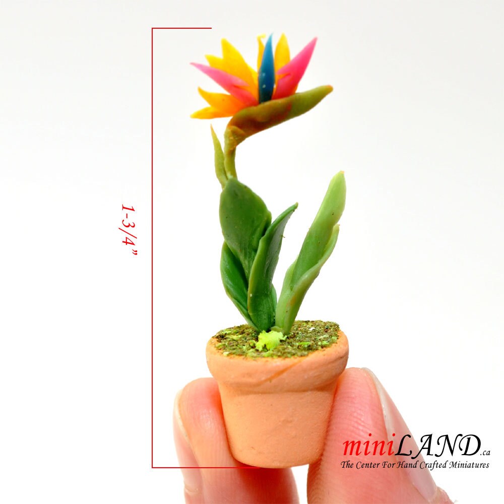 House potted Bird of Paradise leaves leaf green houseplant plant pot for dollhouse miniature 1:12 scale forever garden FL120
