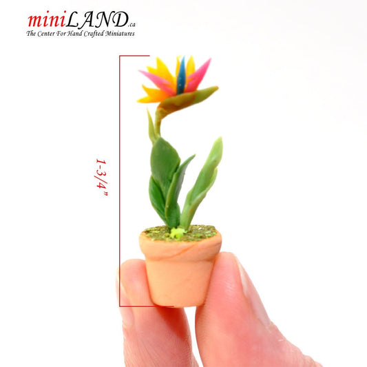 House potted Bird of Paradise leaves leaf green houseplant plant pot for dollhouse miniature 1:12 scale forever garden FL120