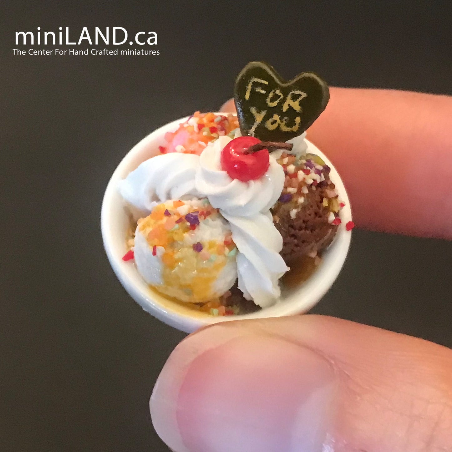 Miniature dollhouse Ice cream bowl for 12"H Doll 1:6 scale CHOOSE from 4 kinds - playhouse food sweet dessert