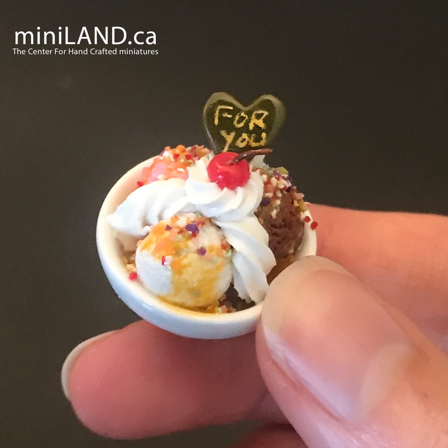 Miniature dollhouse Ice cream bowl for 12"H Doll 1:6 scale CHOOSE from 4 kinds - playhouse food sweet dessert