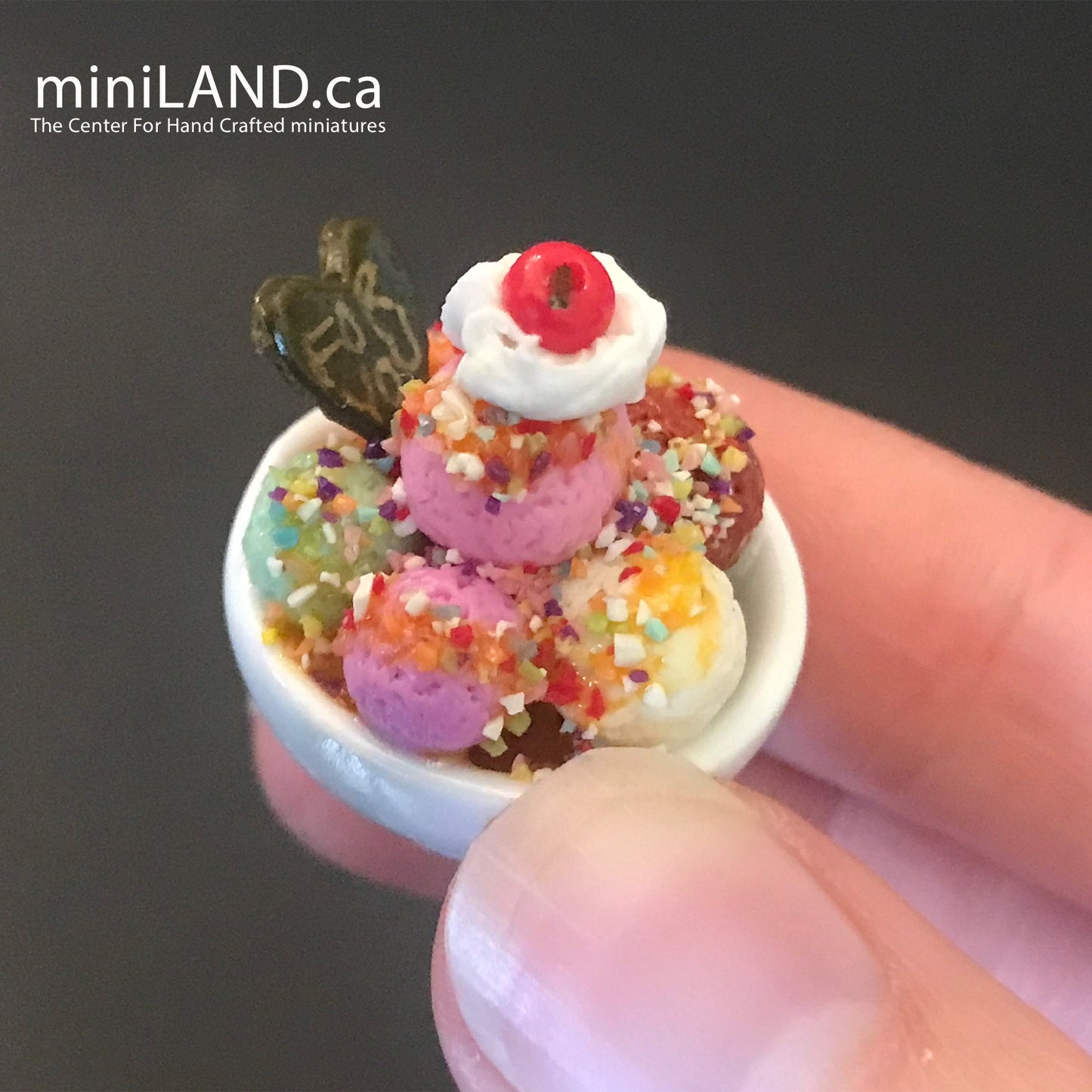 Miniature dollhouse Ice cream bowl for 12"H Doll 1:6 scale CHOOSE from 4 kinds - playhouse food sweet dessert