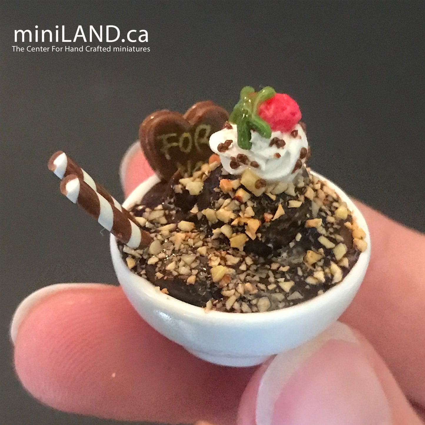 Miniature dollhouse Ice cream bowl for 12"H Doll 1:6 scale CHOOSE from 4 kinds - playhouse food sweet dessert