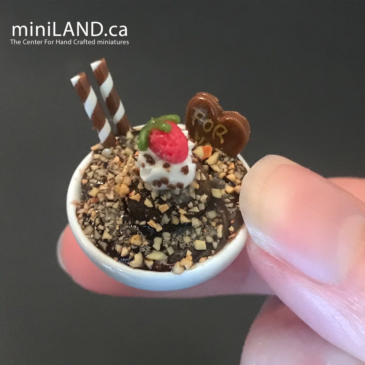 Miniature dollhouse Ice cream bowl for 12"H Doll 1:6 scale CHOOSE from 4 kinds - playhouse food sweet dessert