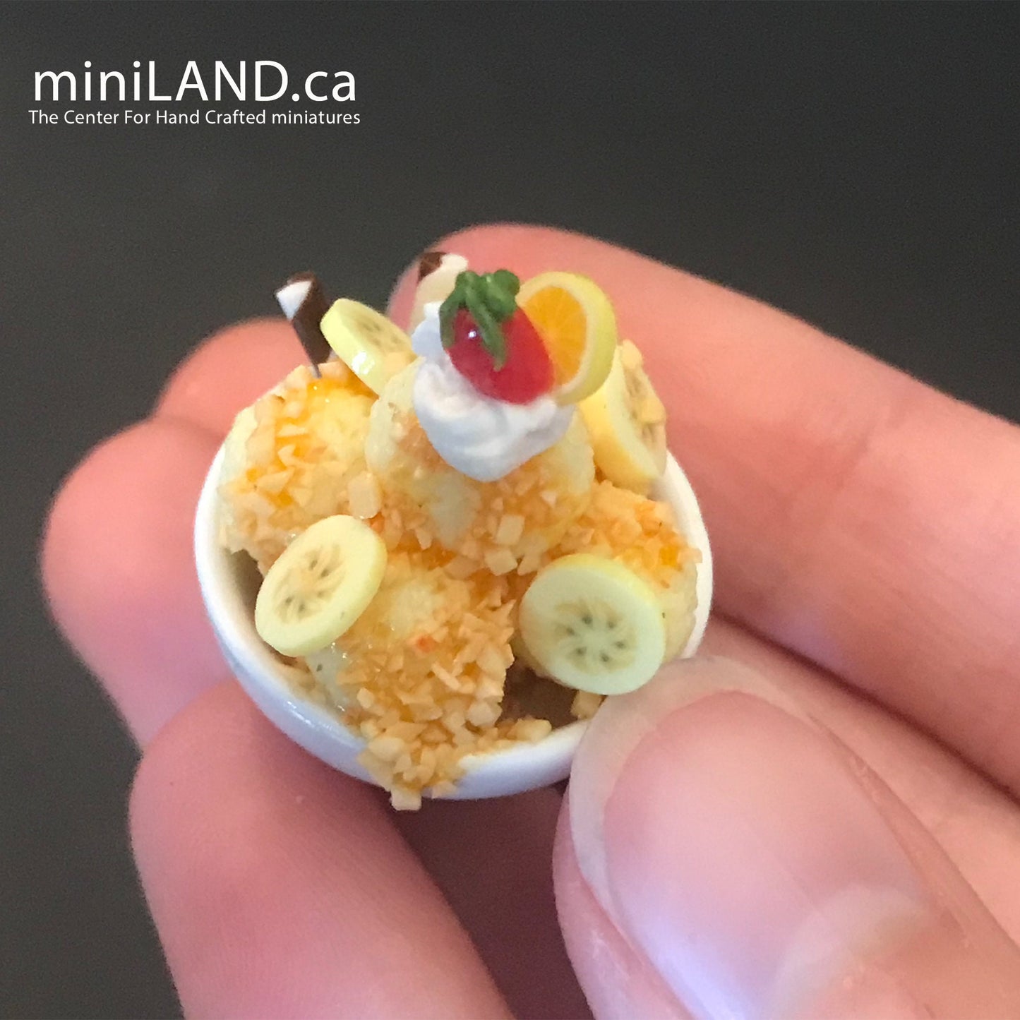 Miniature dollhouse Ice cream bowl for 12"H Doll 1:6 scale CHOOSE from 4 kinds - playhouse food sweet dessert