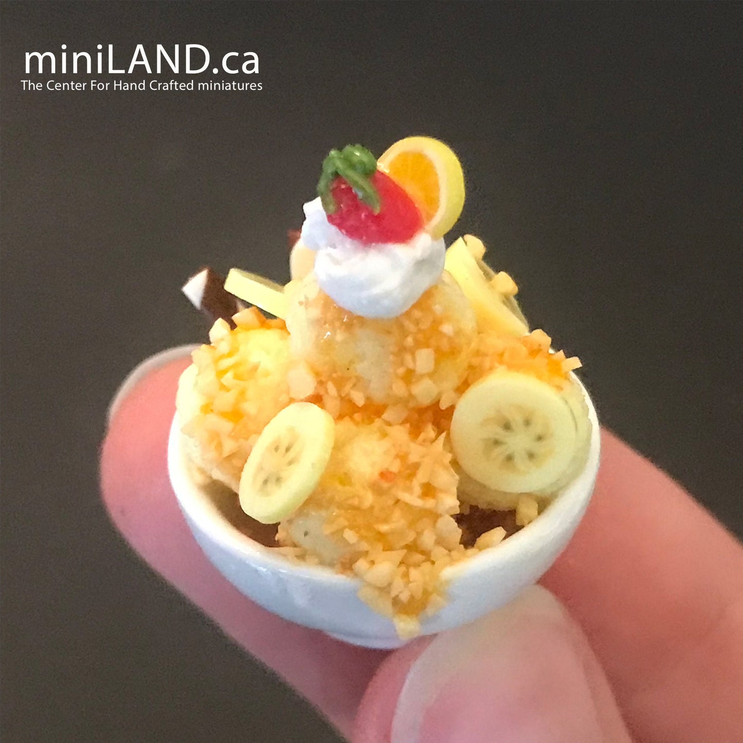 Miniature dollhouse Ice cream bowl for 12"H Doll 1:6 scale CHOOSE from 4 kinds - playhouse food sweet dessert