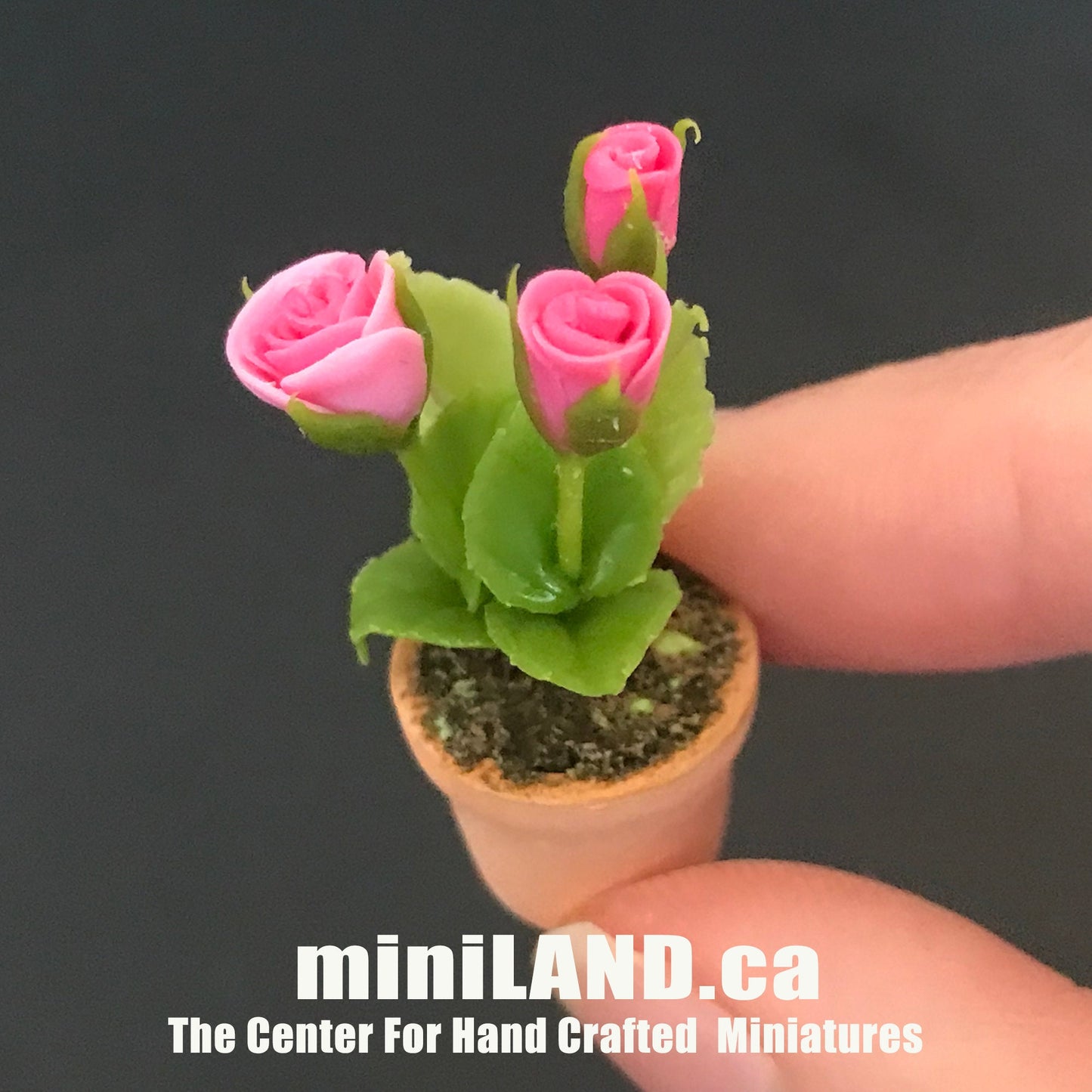 Handgemachte Blumenpflanze im Terrakottatopf PuppenhausMiniaturen 1:12 Pflanzen Blumengarten Blüte