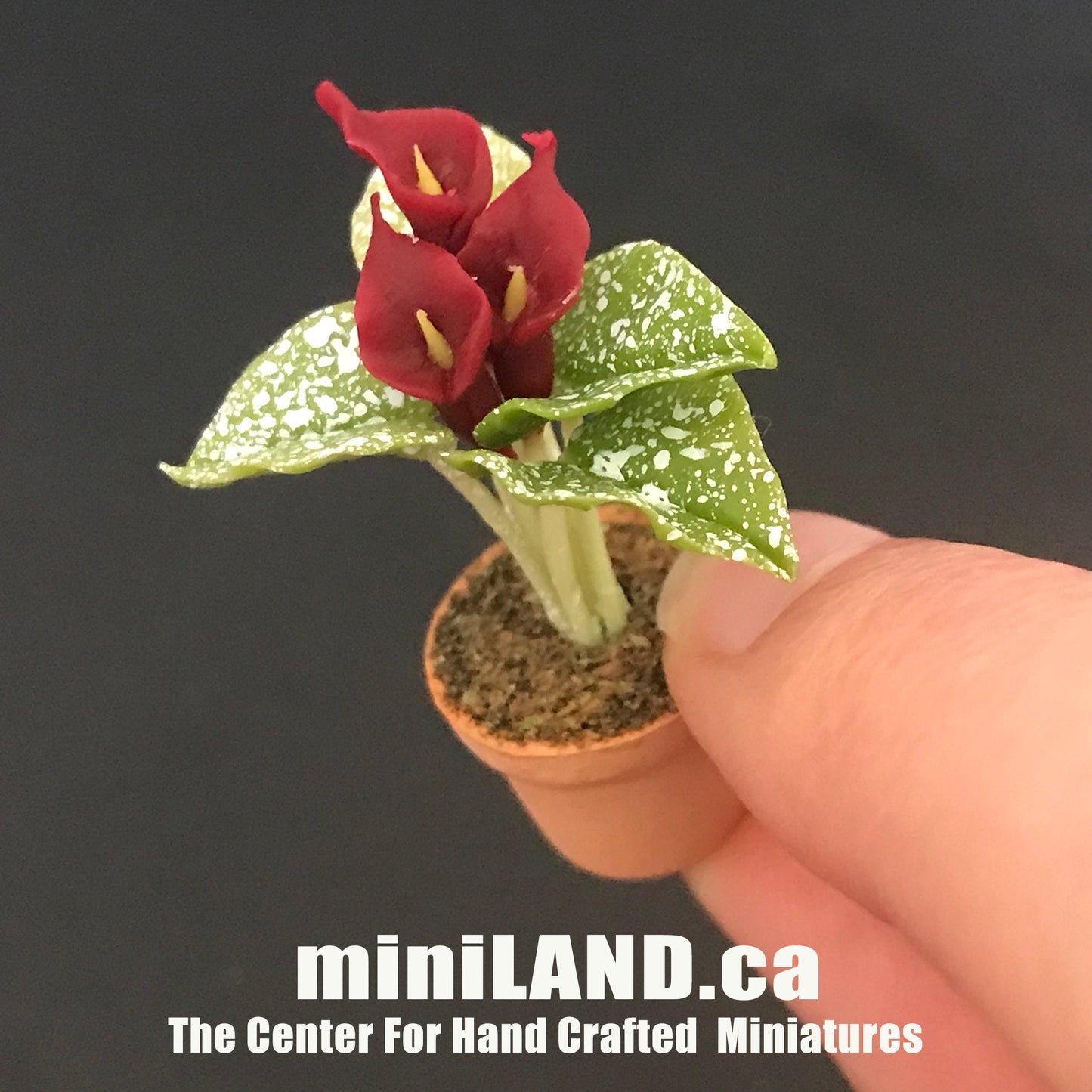 Handgemachte Blumenpflanze im Terrakottatopf PuppenhausMiniaturen 1:12 Pflanzen Blumengarten Blüte