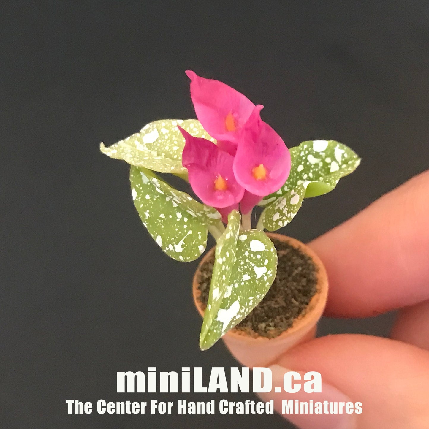 Handgemachte Blumenpflanze im Terrakottatopf PuppenhausMiniaturen 1:12 Pflanzen Blumengarten Blüte