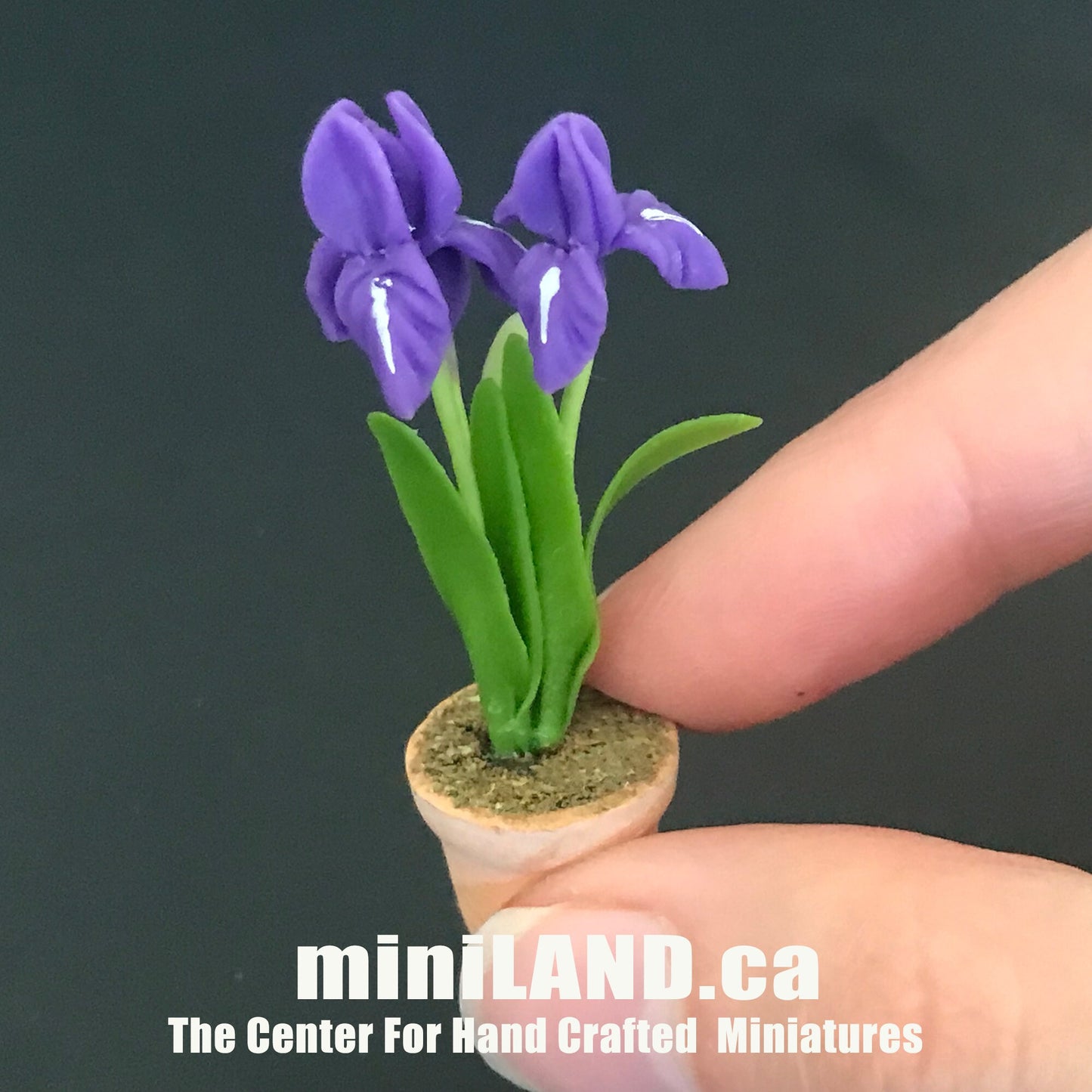 Handgemachte Blumenpflanze im Terrakottatopf PuppenhausMiniaturen 1:12 Pflanzen Blumengarten Blüte