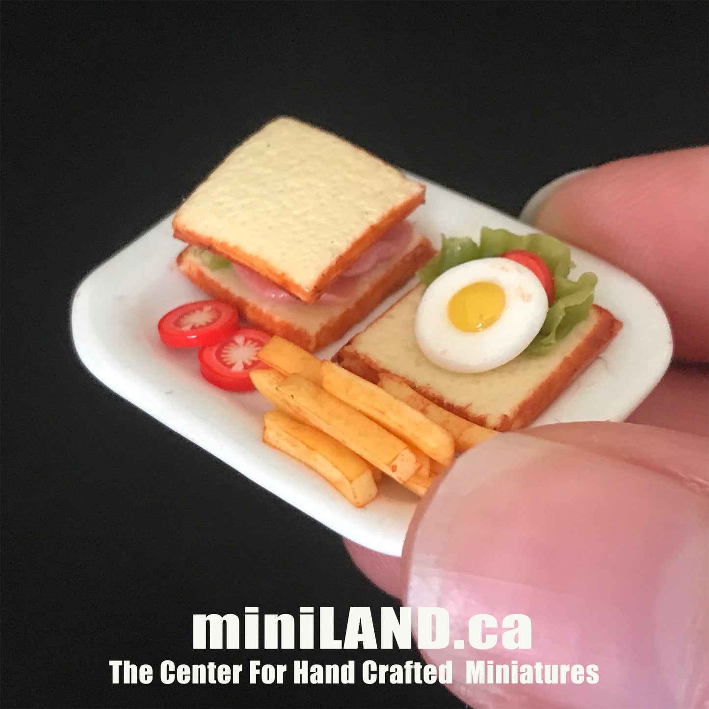 Handmade Full English Breakfast Plate Bacon Sausage bread  sandwich fries sausage Hamburger 1:12 scale dollhouse miniature food dish