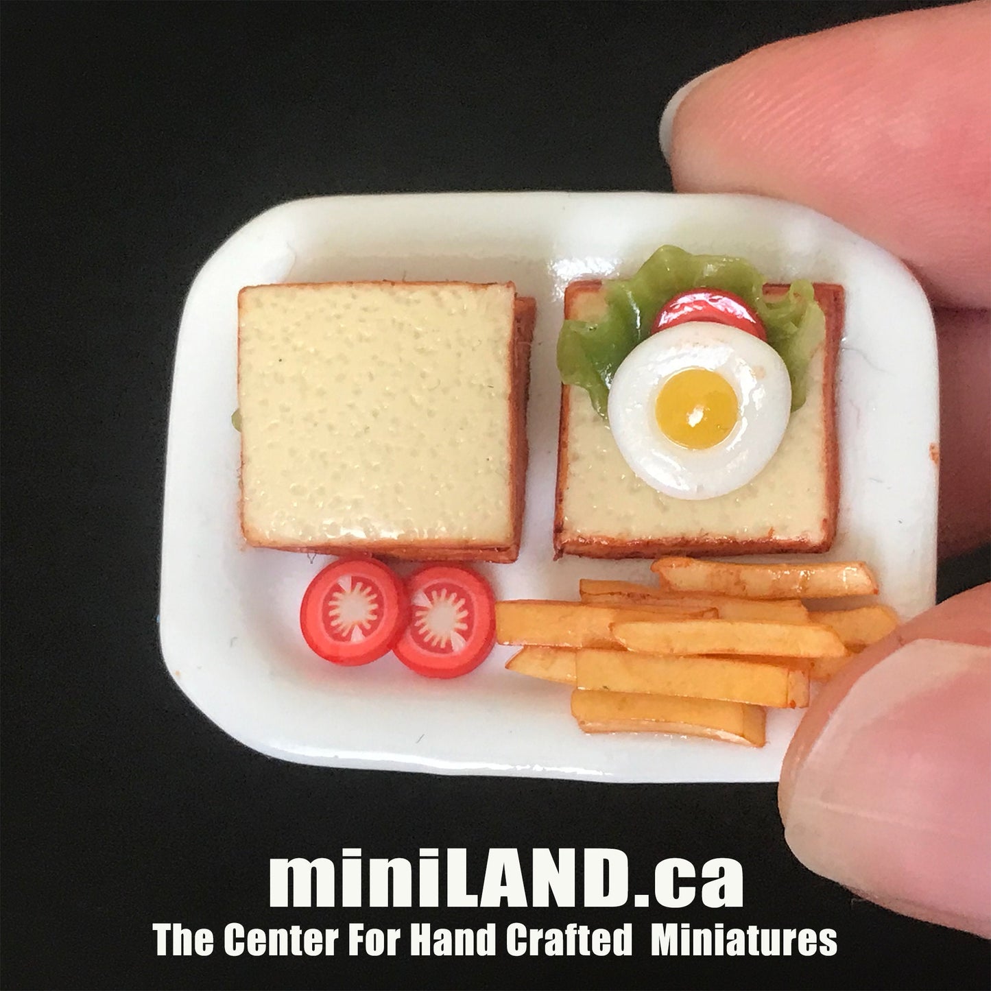 Handmade Full English Breakfast Plate Bacon Sausage bread  sandwich fries sausage Hamburger 1:12 scale dollhouse miniature food dish