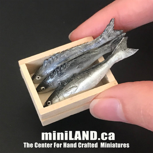 Assorted loose fish crate - 3 pcs fresh fish in wooden wooden crate - 1:12 scale dollhouse miniature food