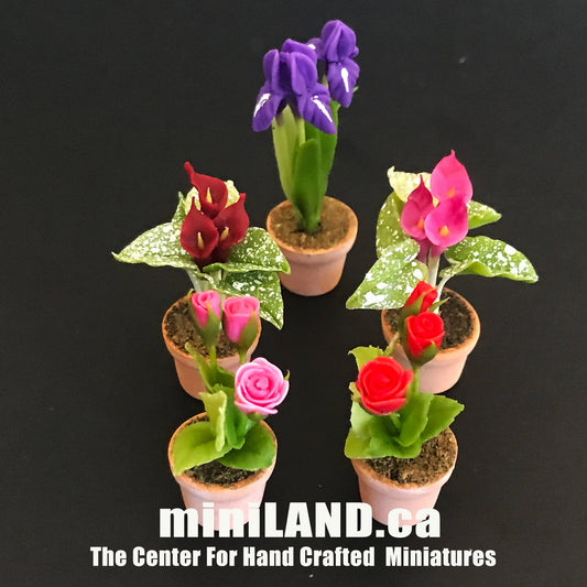 Plante à fleurs faite à la main dans un pot en terre cuite Miniatures pour maison de poupées Plantes à l'échelle 1:12 Jardin de fleurs Bloom