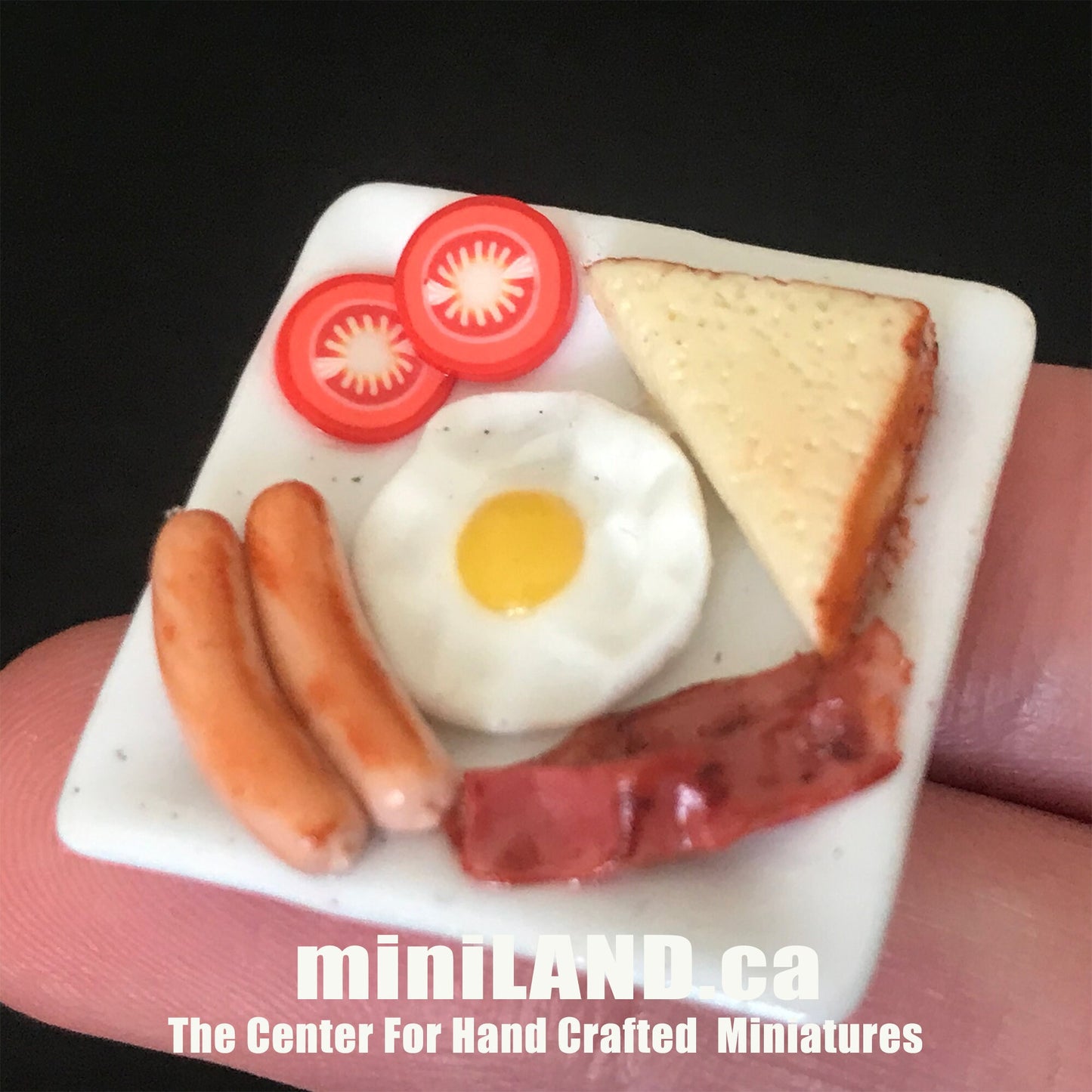 Handmade Full English Breakfast Plate Bacon Sausage bread  sandwich fries sausage Hamburger 1:12 scale dollhouse miniature food dish