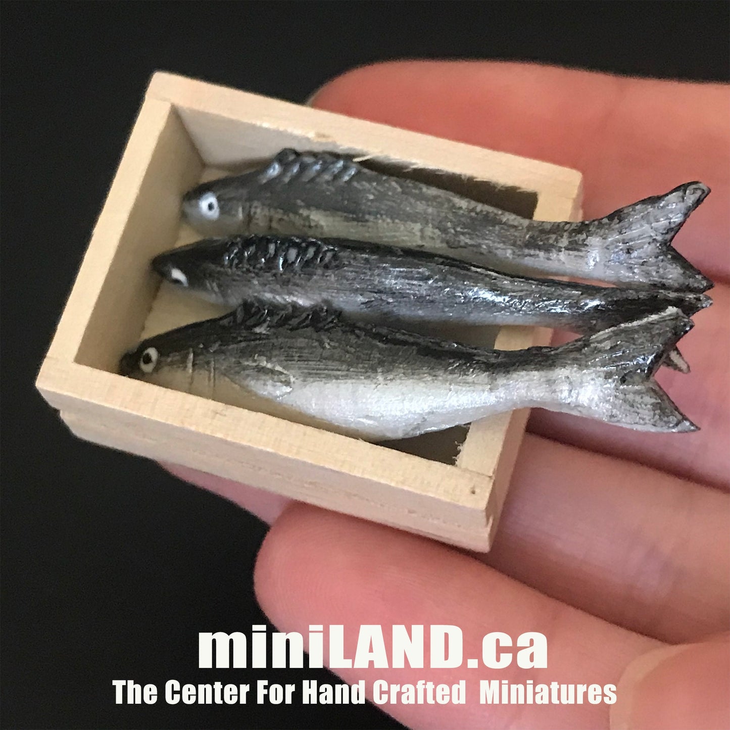 Assorted loose fish crate - 3 pcs fresh fish in wooden wooden crate - 1:12 scale dollhouse miniature food