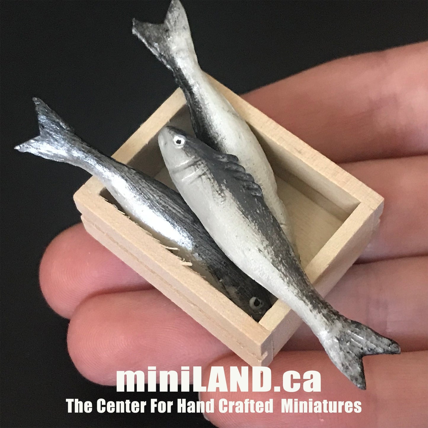 Assorted loose fish crate - 3 pcs fresh fish in wooden wooden crate - 1:12 scale dollhouse miniature food