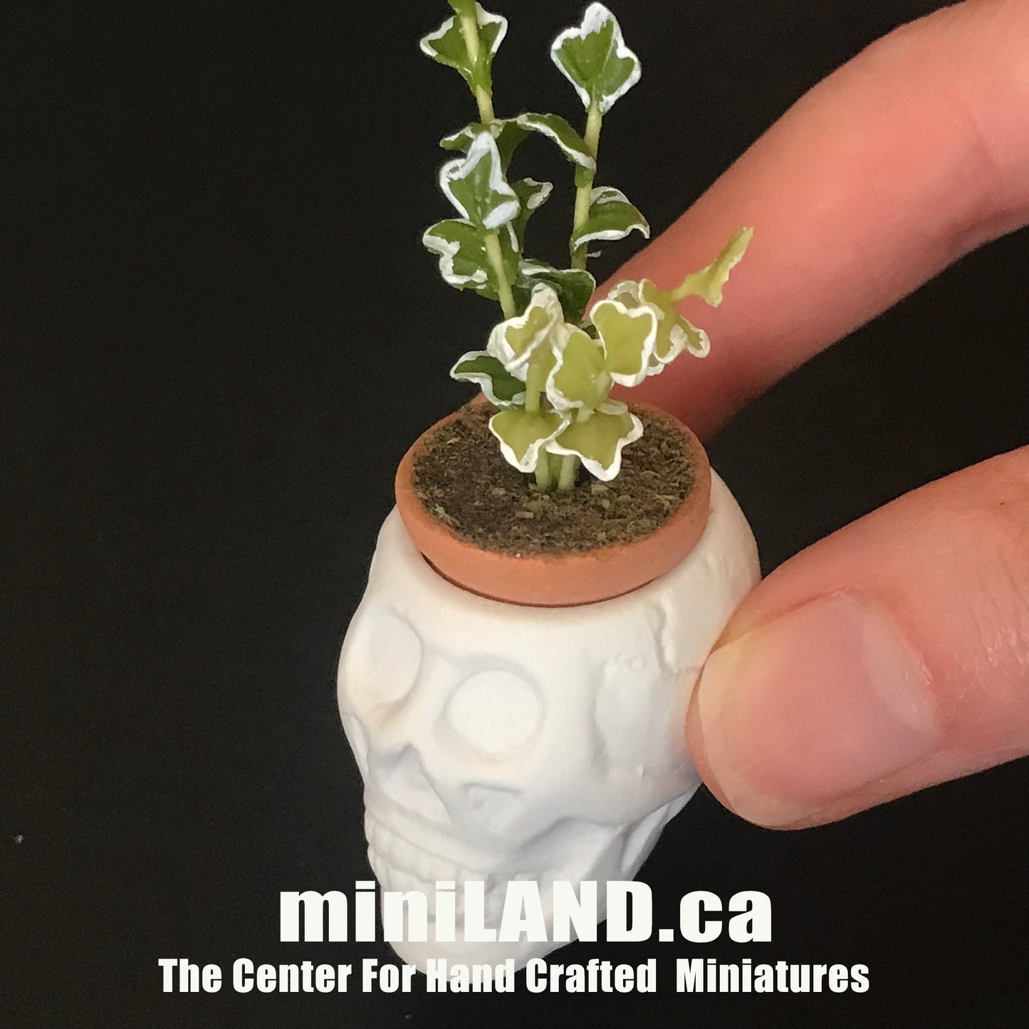 Halloween skull-unglazed Planter Pot Vase Spooky Fall Halloween Décor - 1:12 scale dollhouse miniature
