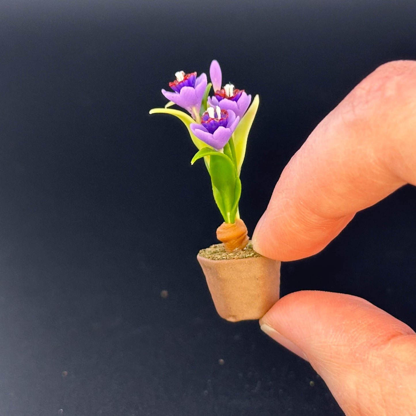 Handmade flowers plant in Terracotta Pot Dollhouse Miniatures  1:12 scale plants flower garden bloom